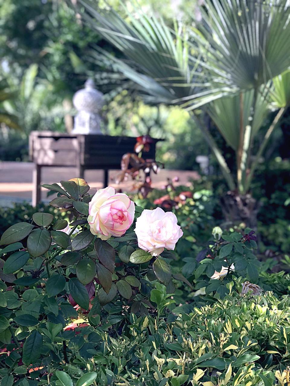 Villa Marrone - Relais - Marsala Buitenkant foto