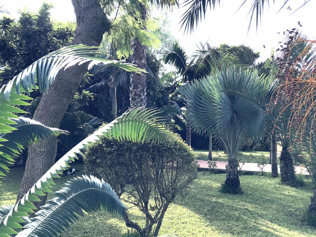 Villa Marrone - Relais - Marsala Buitenkant foto